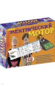 Сделай сам Электрический мотор