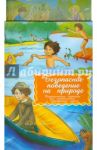 Дидакт.карточки.Безопасное поведение на природе