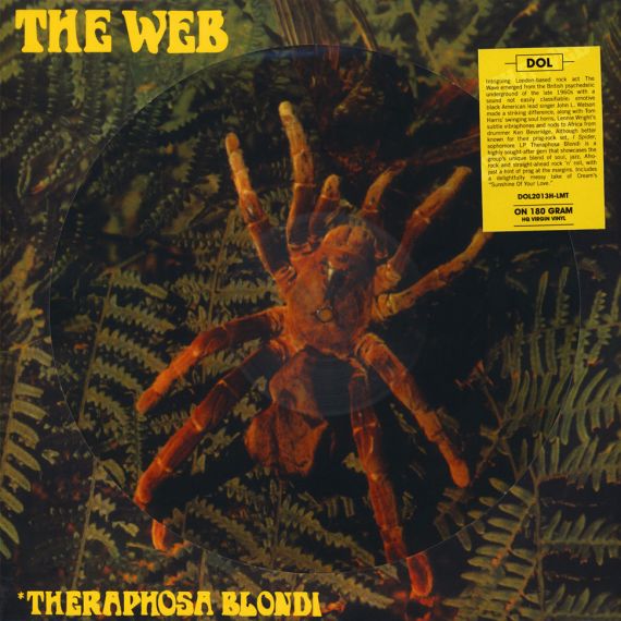 The Web – Theraphosa Blondi  1969