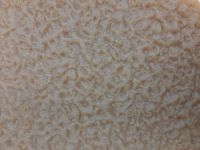 SVIG 63х73 бежевый 4,0мм