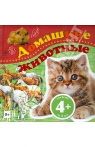 Домашние животные / Травина Ирина Владимировна