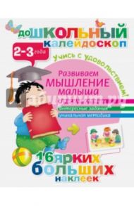 Развиваем мышление малыша. 2-3 года