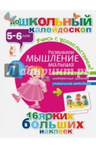 Развиваем мышление малыша (5-6 лет)
