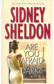 Are You Afraid of the Dark? / Sheldon Sidney