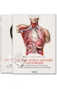 Bourgery. Atlas of Human Anatomy and Surgery / Le Minor Jean-Marie, Sick Henri