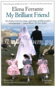 My Brilliant Friend, Book One / Ferrante Elena