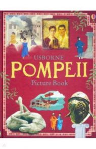 Pompeii. Picture Book / Reid Struan