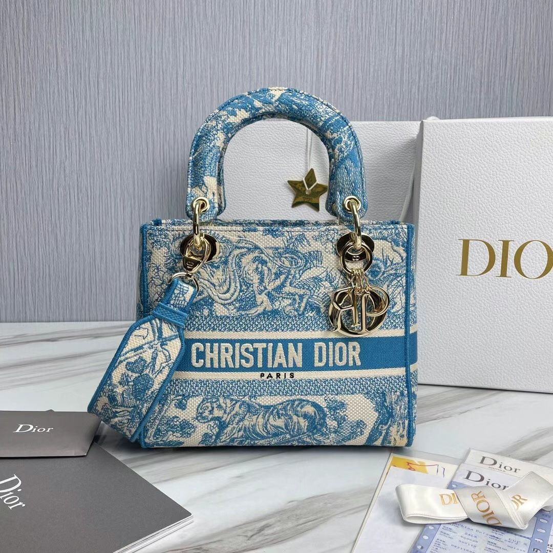 Lady Dior 24 cm