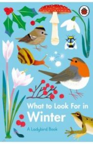 What to Look For in Winter / Jenner Elizabeth