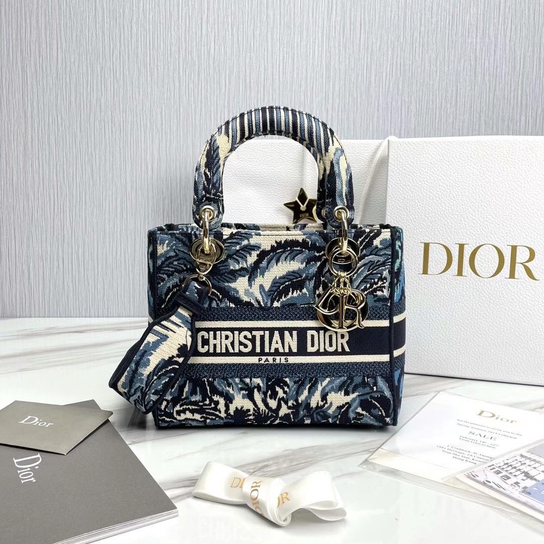 Lady Dior 24 cm