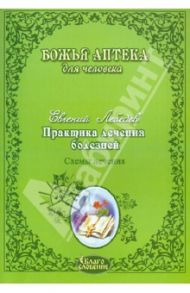 Практика лечения болезней. Схемы лечения / Лебедев Евгений Геннадьевич