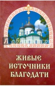 Живые источники благодати / Гончаров Евгений Иванович
