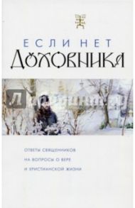 Если нет духовника. Ответы священников на вопросы о вере и христианской жизни