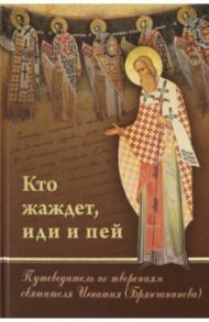 Кто жаждет, иди и пей. Путеводитель по творениям святителя Игнатия (Брянчанинова) / Романец Ю. В.