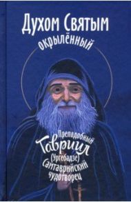 Духом Святым окрыленный. Препоподобный Гавриил (Ургебадзе) / Девятова Светлана