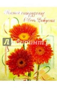 ЦР-146/Сотруднице в День рождения/открытка двойная