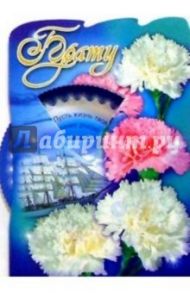 50393/Брату/открытка вырубка двойная