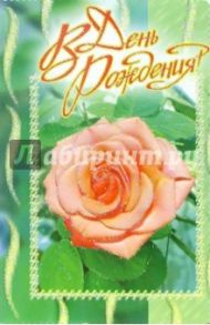 3КТ-206/День рождения/открытка-вырубка двойная