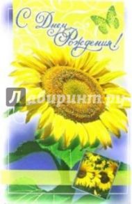 3ВКТ-134/День рождения/открытка-вырубка двойная