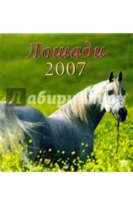 Календарь 2007 Лошади (30603)