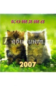 Календарь 2007 Котята (30605)