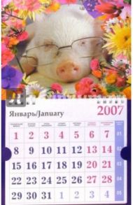 Календарь 2007 Поросенок в очках (МО-0031)