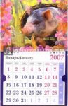 Календарь 2007 Поросенок с бутылкой (МО-0026)