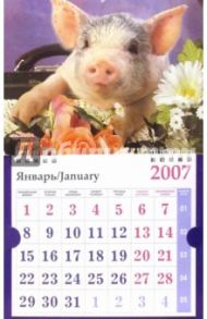 Календарь 2007 Поросенок с дипломатом (МО-0034)