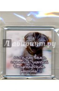 Магнитные подарочки. Если над вами смеются...