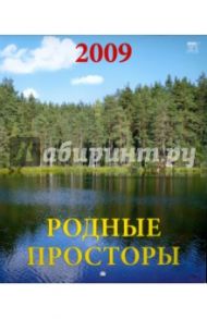 Календарь 2009 Родные просторы (40803)