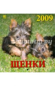 Календарь 2009 Щенки (30804)