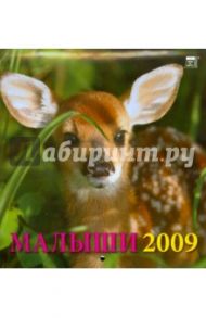 Календарь 2009 Малыши (30810)