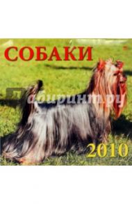 Календарь. 2010 год. Собаки (70920)