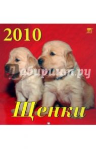 Календарь. 2010 год. Щенки (30904)