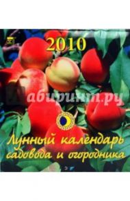 Календарь. 2010 год. Лунный календарь (45902)