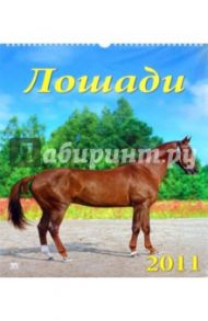 Календарь 2011 год "Лошади" (12108)