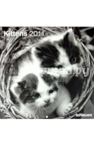 Календарь 2011 "Котята" (4354-3)