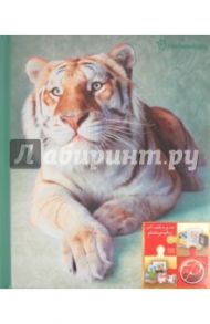 Фотоальбом на 20 магнитных страниц "Tiger" (LM-SA10)