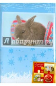 Фотоальбом на 100 фотографий "Winter rabbits" (LM-4R100CPPM)