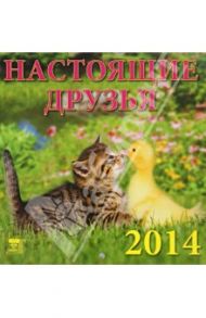 Календарь 2014 "Настоящие друзья" (30406)