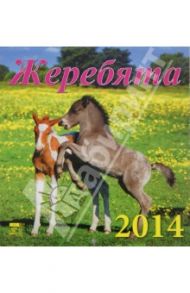 Календарь 2014 "Жеребята" (30408)