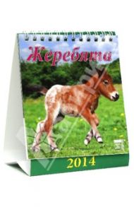 Календарь на 2014 год "Жеребята" (10402)