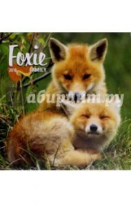 2018 Календарь "Foxie Family" 30*30 (PGP-5099-V)