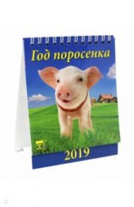 Календарь настольный на 2019 год "Год поросенка" (10901)