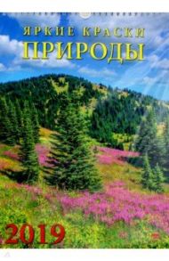 Календарь 2019 "Яркие краски природы" (11916)
