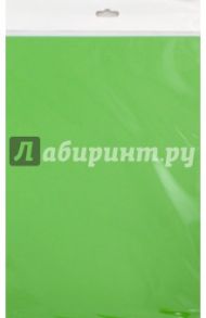 Бумага цветная тонированная (10 листов, ярко-зеленая) (С3036-08)