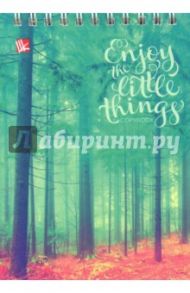 Книга для записей 80 листов, А6 "Чудесный лес" (ТС6804236)
