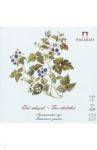 Планшет для эскизов "Ежевика" (30 листов, 150х150 мм) (ПЛ-3350)