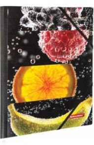 Папка на резинках "Fresh zone", А4 (228036)