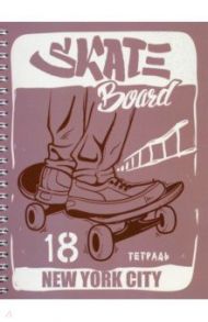 Тетрадь"Скейт" (96 листов, А5, клетка, гребень) (С2277-33)